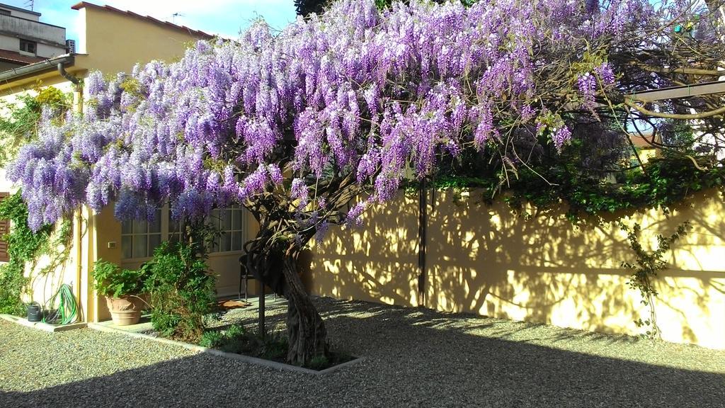Villino Fiorentino Florence Exterior photo